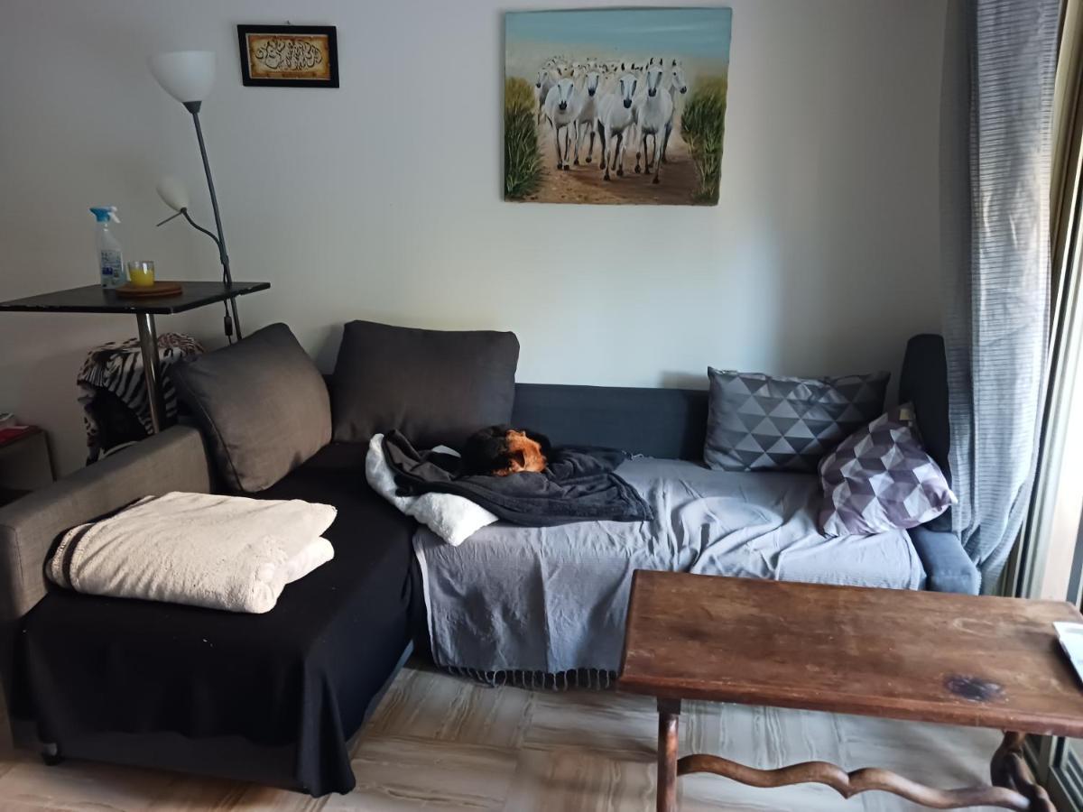 Апартаменты Rez-De-Jardin Grand Studio Кро-де-Кань Экстерьер фото